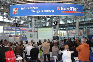 会展服务中的网络布线安装 关键步骤与最佳实践